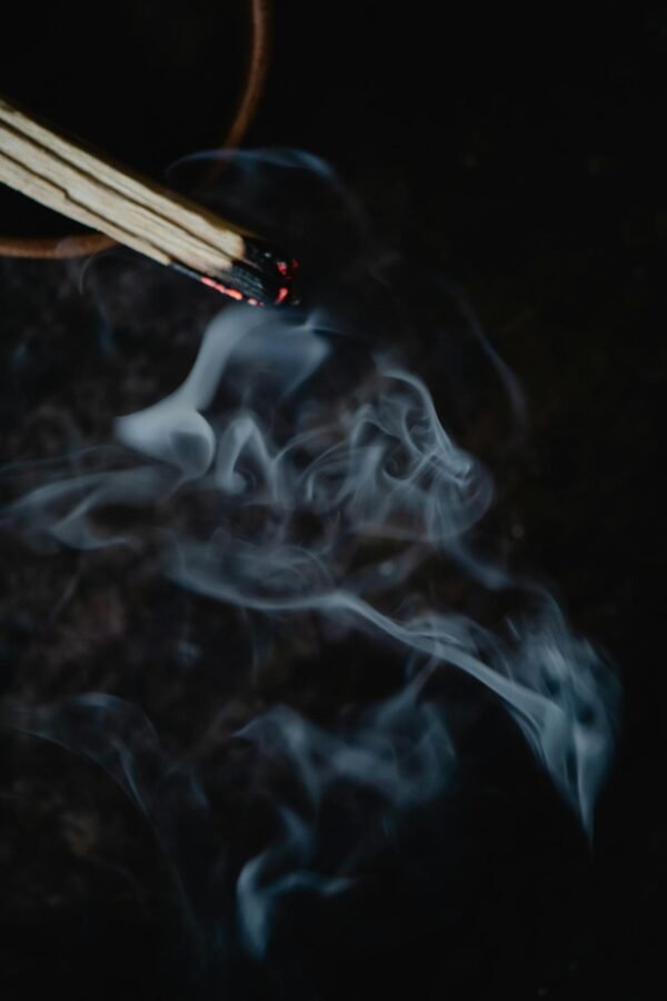 Bâtons de Palo Santo Naturel