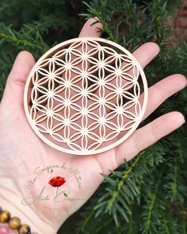 Fleur de vie en bois sur une main