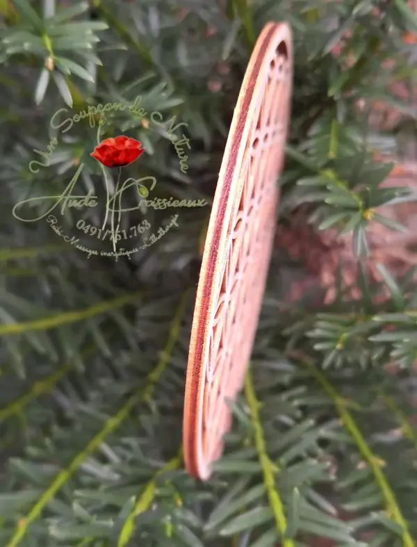 Fleur de vie en vue tranche