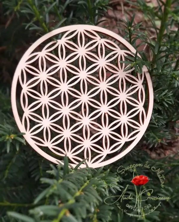 Fleur de vie en bois sur fond en sapin